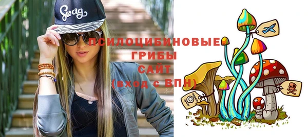 спиды Волосово