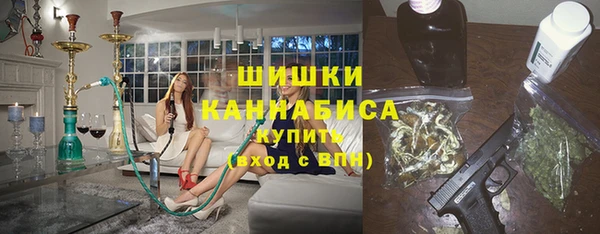 индика Майский