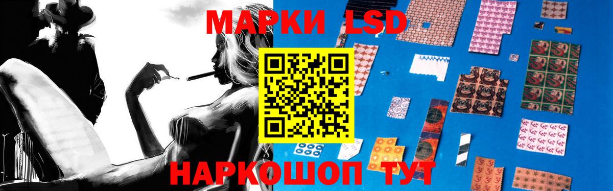 Альфа ПВП Мончегорск