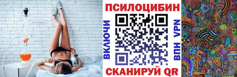 купить   Мончегорск  Галлюциногенные грибы Psilocybe 
