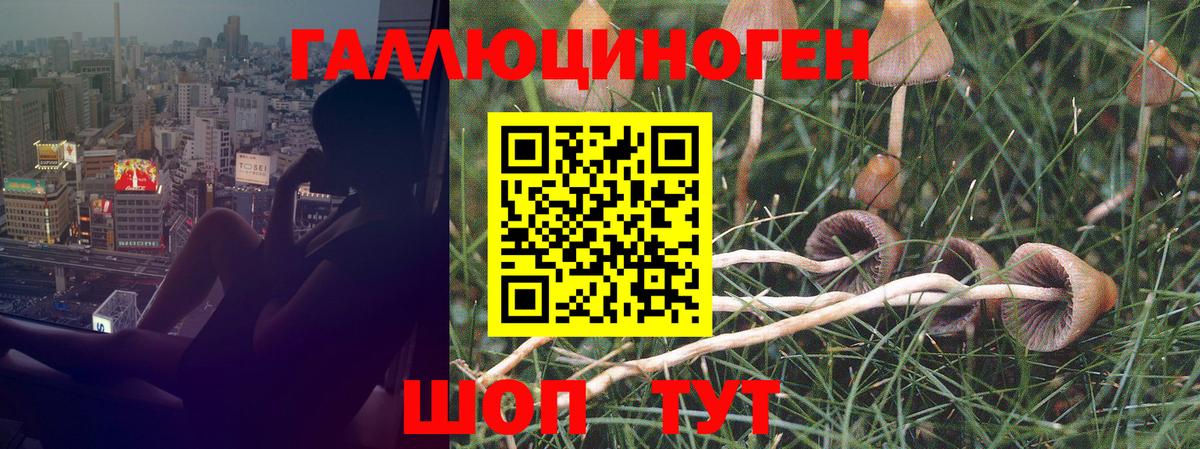 Псилоцибиновые грибы ЛСД  Вход с VPN  Мончегорск  Галлюциногенные грибы GOLDEN TEACHER 